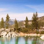 Insights-The Power of Teambuilding