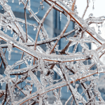 Insights-Rising Above When The Unexpected Occurs