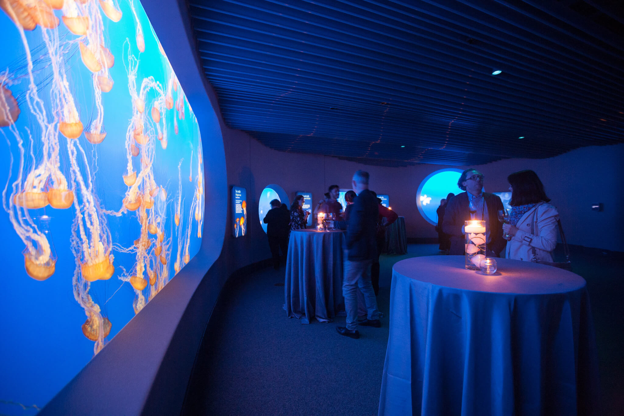 View More: http://scottcampbellphoto.pass.us/genentech