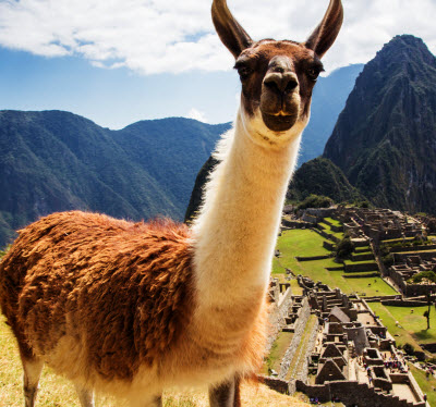 https://www.creativegroupinc.com/wp-content/uploads/2017/10/Peru2.jpg