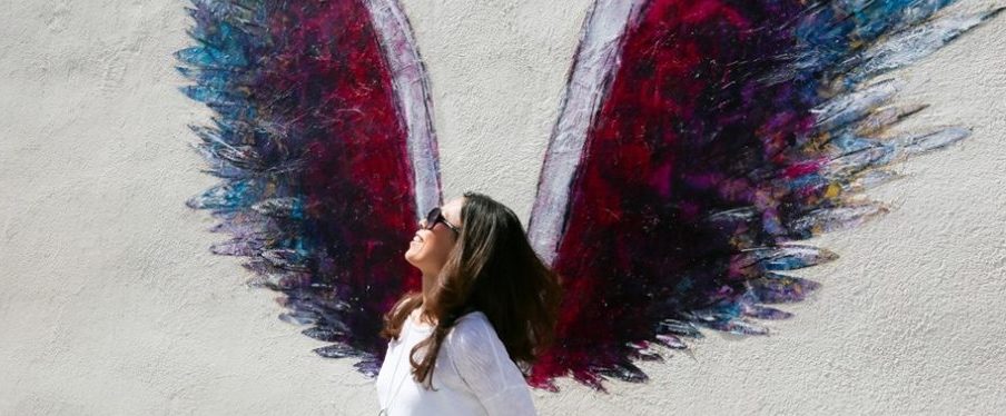 Mil with wings e1579212849349