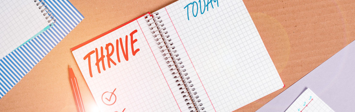 Thrive notebook e1595279544771