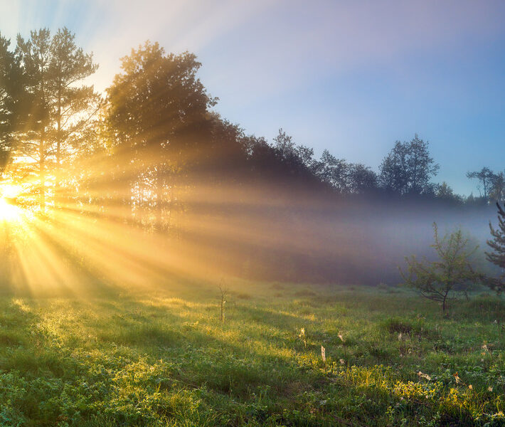 result-Gratitude: Not Just for Thanksgiving Anymore