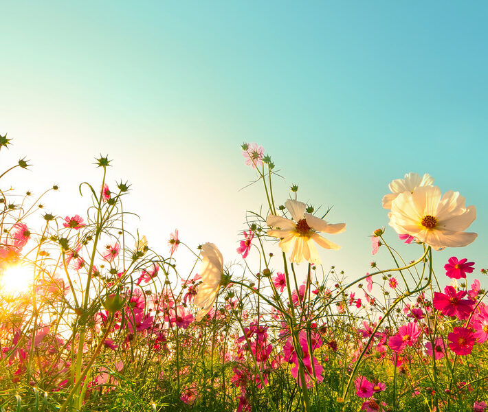result-A Spring in Our Step this Earth Day