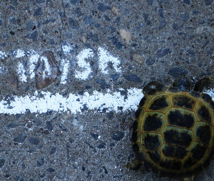 Archive-Business as Usual or… Hurry Up and Wait