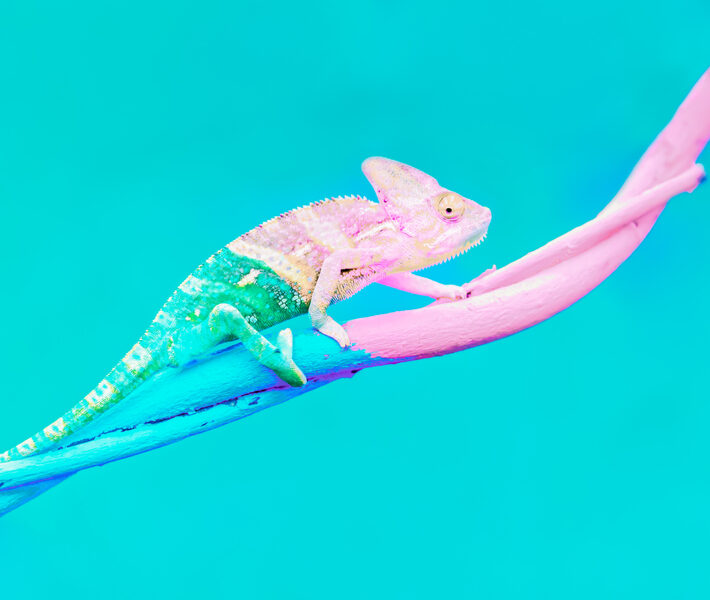 Archive-How to Adapt Your Incentive Program When Increasing Sales is NOT Your First Priority