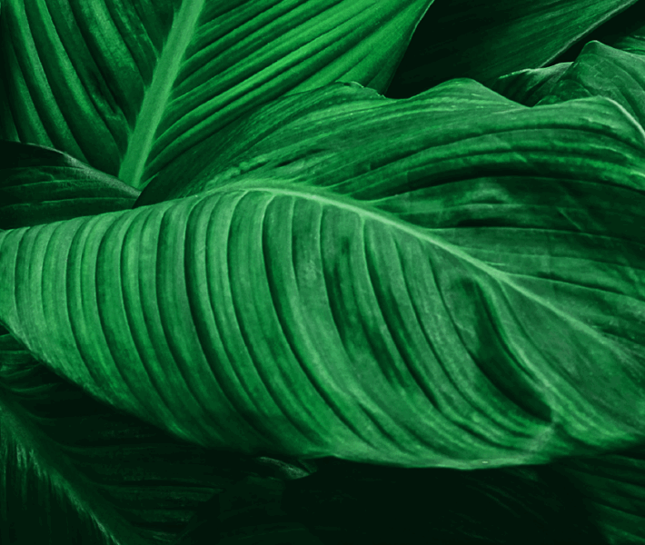 Archive-The Sustainable Events Playbook
